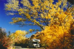 Wohnmobil im Goldenen Herbst