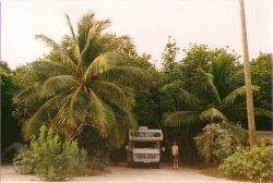 Wohnmobil unter Palmen